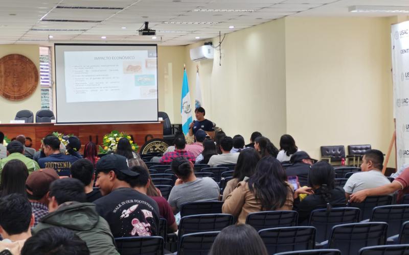Estudiantes y profesionales de Huehuetenango se preparan para detectar el Gusano Barrenador