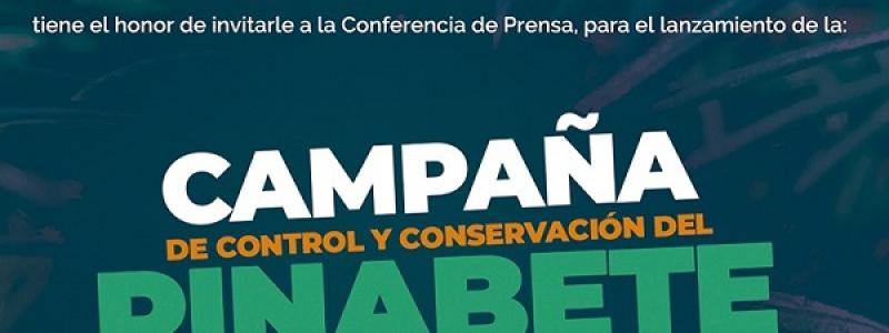 pinabete