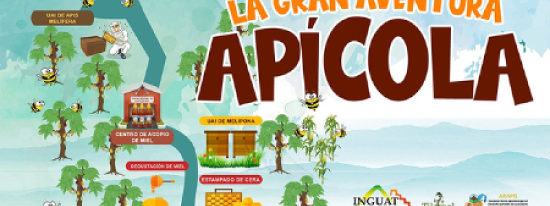 Apicola