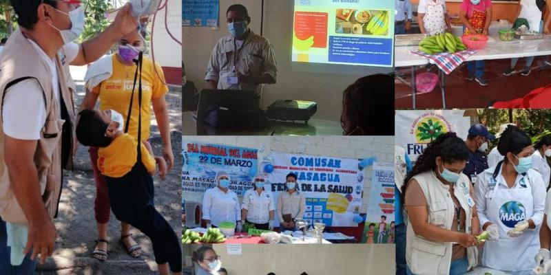 Secretaría de Seguridad Alimentaria y Nutricional 