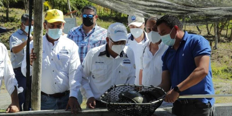 Peteneros reciben apoyo en agricultura familiar y comercialización