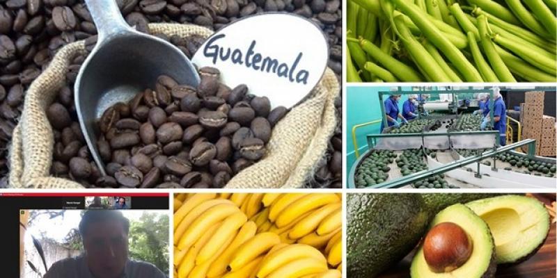 Misión comercial en Canadá