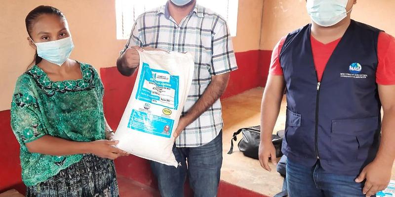 Familias beneficiadas con semillas de maíz