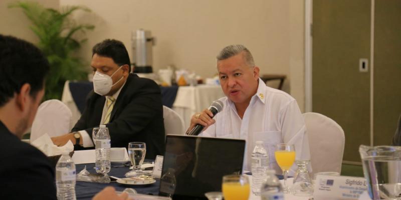 Ministro de Desarrollo participa en primera sesión de la Coned