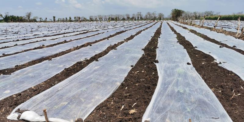 FONTIERRAS asesora a beneficiarios