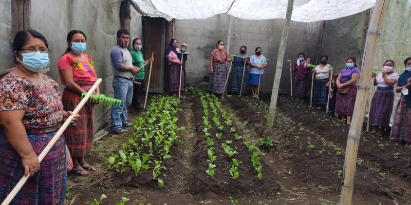 Huertos familiares