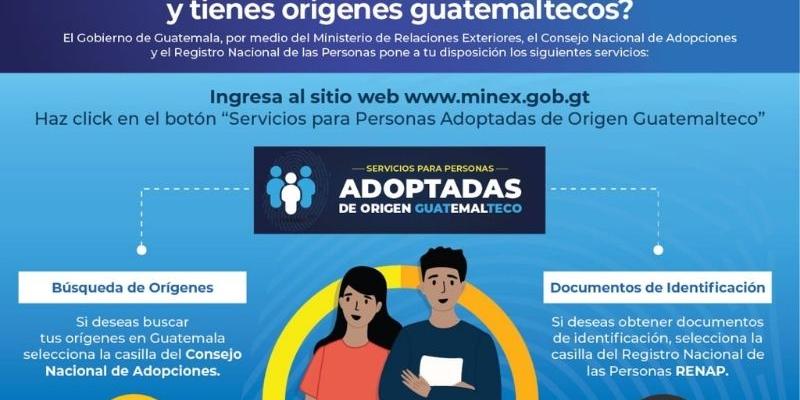 Infografía del Minex