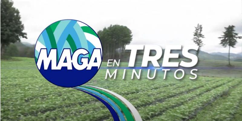 Emisión 08 de octubre de 2021. 