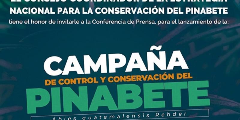 pinabete