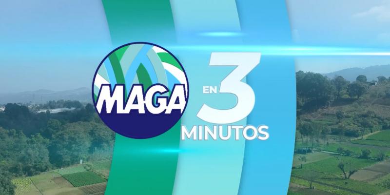 MAGA en 3 Minutos