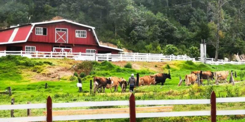 El Rincón Suizo Farm, Finca La Esperanza, Tecpán será el escenario para el primer Festival Gastronómico de Chimaltenango.