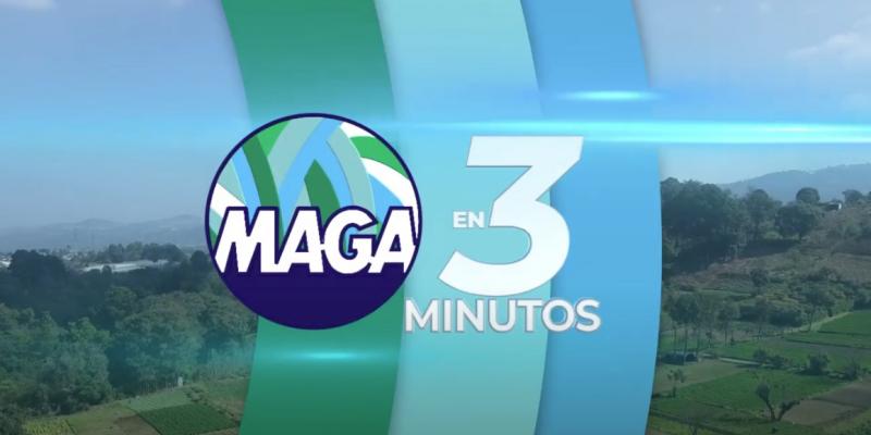 MAGA en 3 Minutos