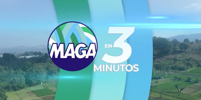 MAGA en 3 Minutos