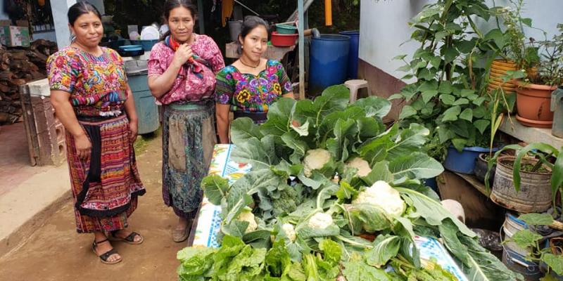 Secretaría de Seguridad Alimentaria y Nutricional 