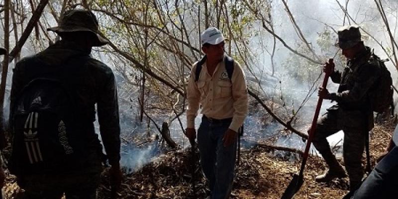 Cuarta Brigada de Infantería sofocó incendio forestal en Mazatenango, Suchitepéquez