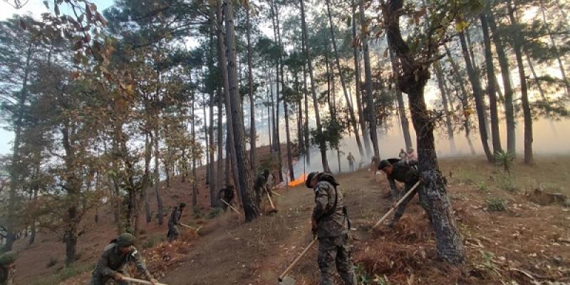 Ejército de Guatemala apoyó sofocamiento de incendios forestales en el departamento de Guatemala y Huehuetenango