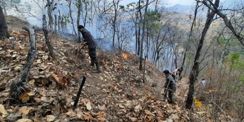 Ejército de Guatemala apoya combate de incendios forestales en el interior del país.