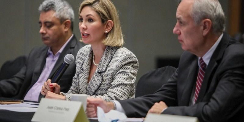 La viceministra Francisca Cárdenas participó en la presentación del estudio.