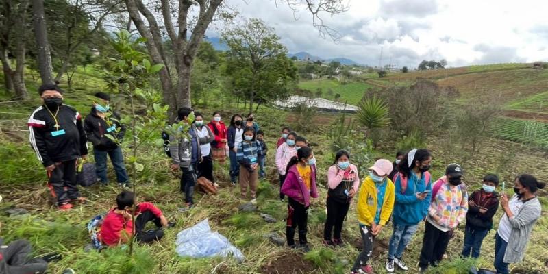 Estudiantes plantan 350 árboles en Santa Cruz Balanyá