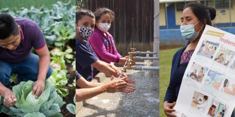 Secretaría de Seguridad Alimentaria y Nutricional 