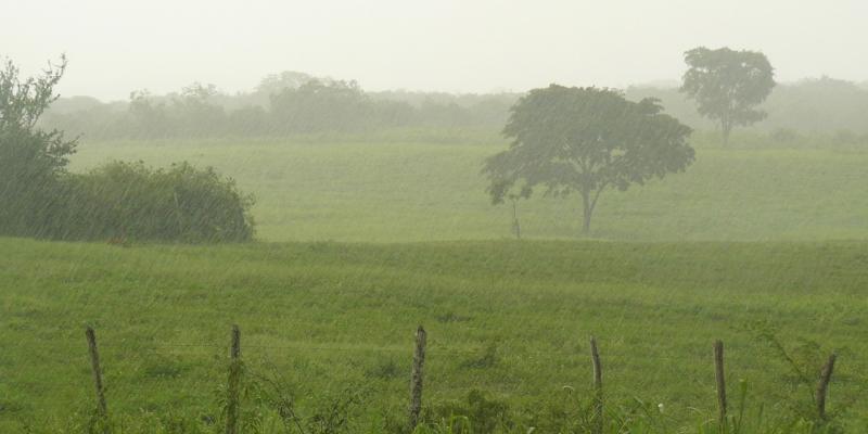 Prevén invierno más copioso para el próximo trimestre 