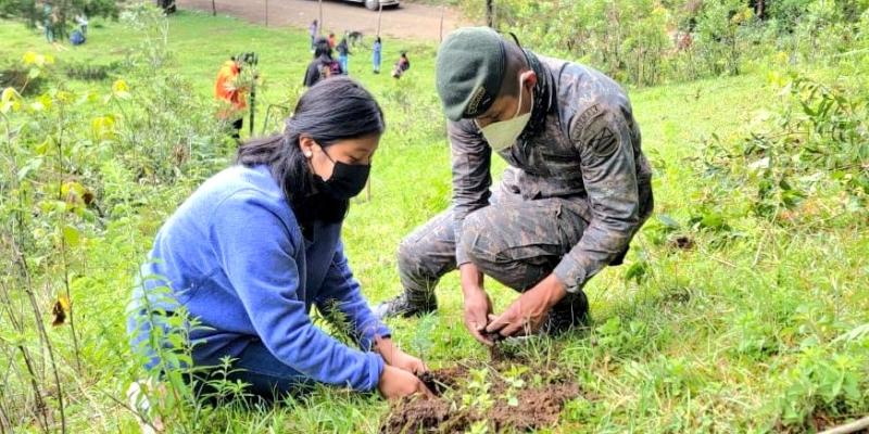 Soldados del Ejército de Guatemala sembraron 256,110 árboles para contribuir al cuidado del ambiente