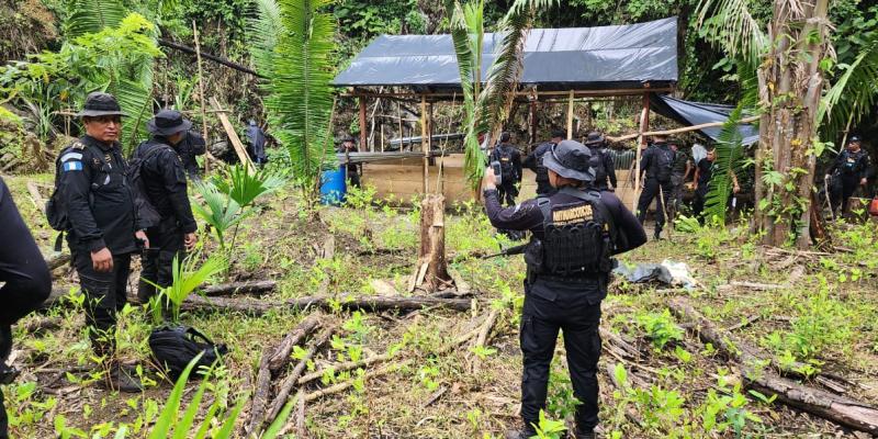 Localizan plantaciones ilícitas y un laboratorio en Alta Verapaz