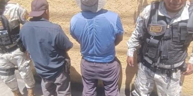 Capturan a cuatro personas por tala ilegal de producto forestal