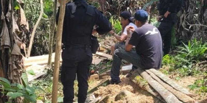 Capturan a personas por transporte y tala ilegal de madera en distintos lugares del país
