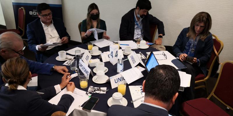  insumos para la elaboración del Cuarto Informe de Revisión Nacional Voluntaria (RNV) del cumplimiento de los ODS