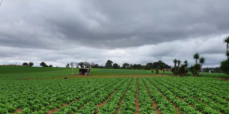 Fonagro incentiva un aumento en la productividad del área rural 