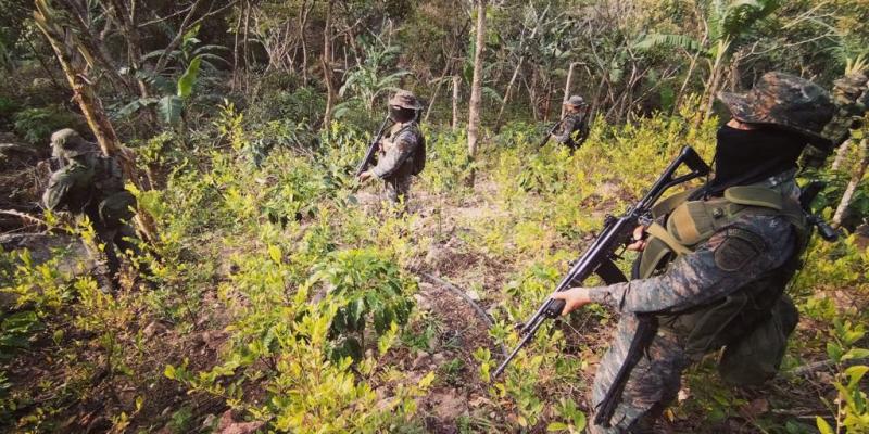 Ejército localiza plantación de hoja de coca en Chiquimula.