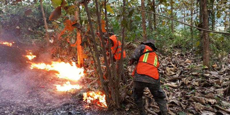 1,552 soldados guatemaltecos, se mantienen en apresto para el sofocamiento de incendios forestales