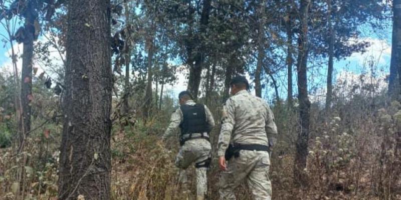 Diprona crea estrategias para la protección y reforestación de los bosques en el país