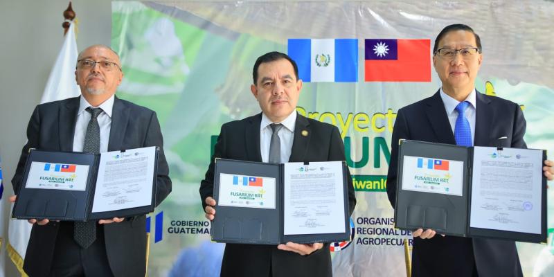 Guatemala recibe primer desembolso del proyecto regional para la prevención del Fusarium 