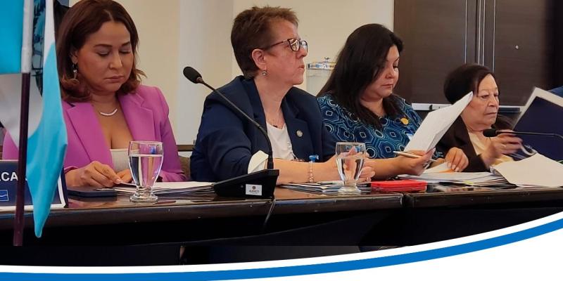 V congreso regional sobre mujeres en los contextos de la migración