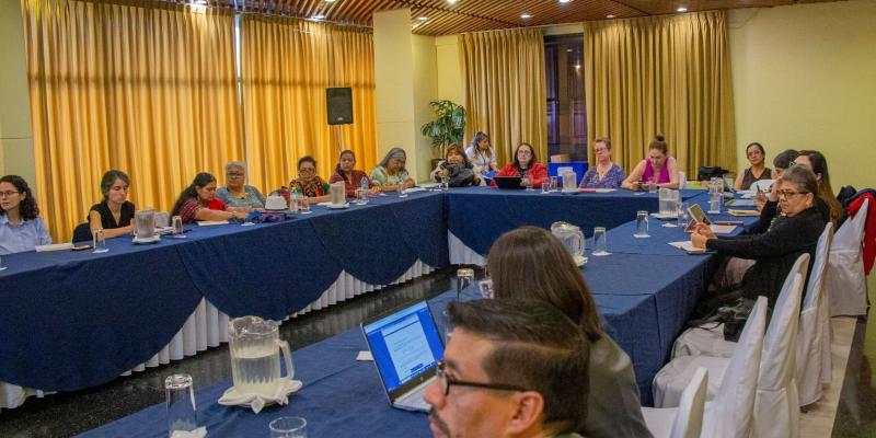 SEPREM socializa acciones para la implementación de la Estrategia de Seguimiento a la CEDAW