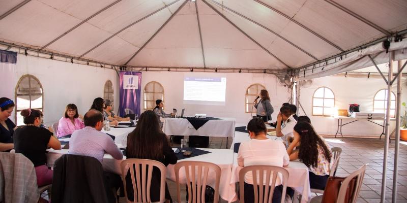 La Secretaría Presidencial de la Mujer brindó asistencia técnica a las instituciones productoras de datos estadísticos