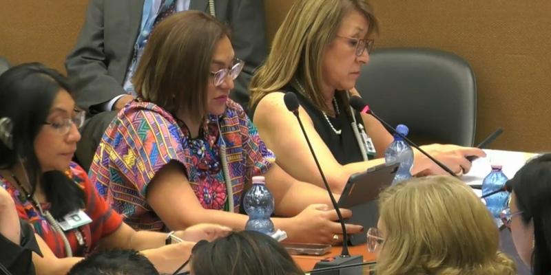 INE presente en la Convención sobre la Eliminación de la Discriminación contra la Mujer (CEDAW)