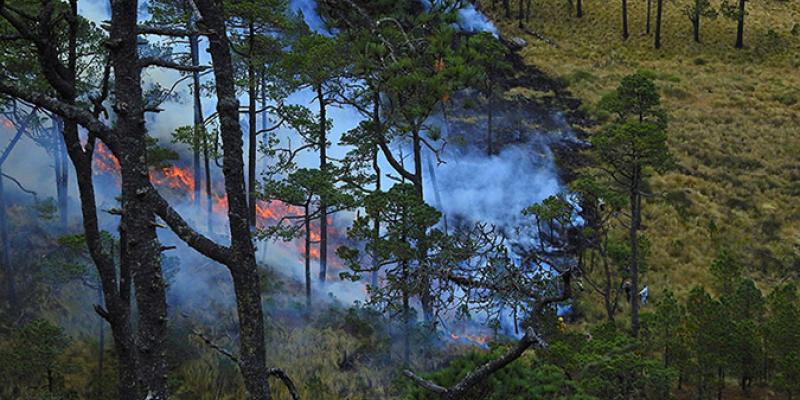 Recomendaciones del MAGA para prevenir incendios forestales