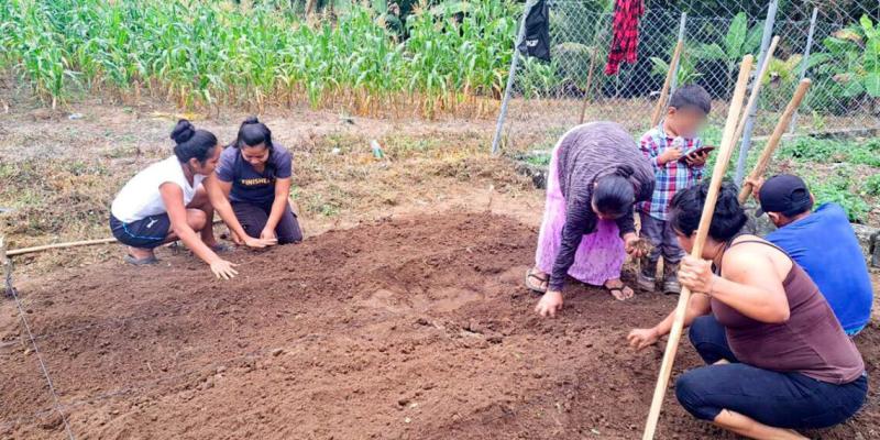 Huertos comunitarios: espacios de aprendizaje y producción de alimentos