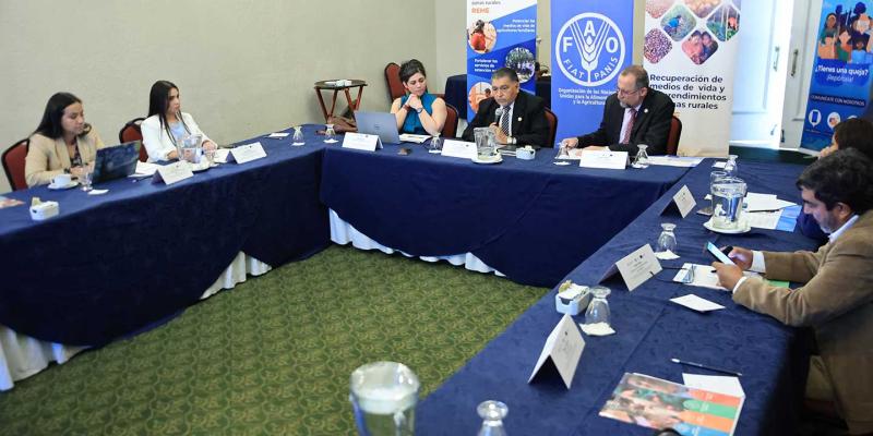 Proyecto REME apoyará a familias agricultoras en tres departamentos