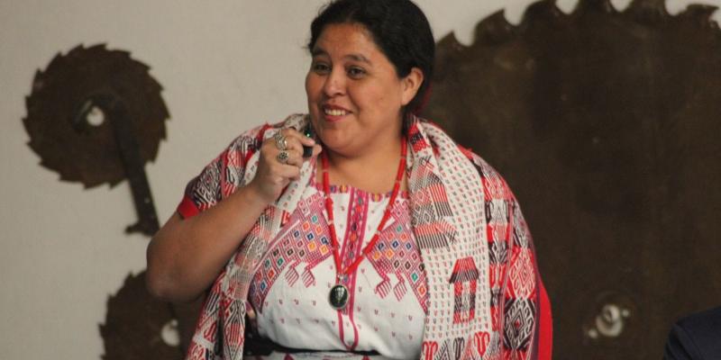 Comisionada Alida Vicente