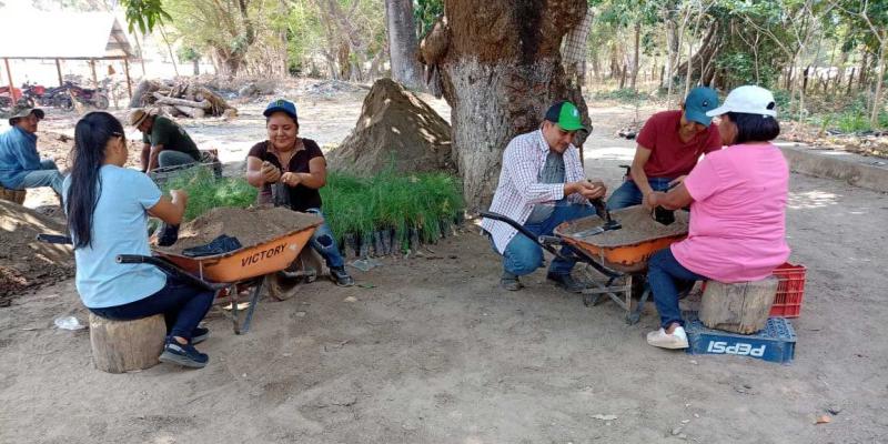 Brindan apoyo técnico en Zacapa para fortalecimiento de plantas de café