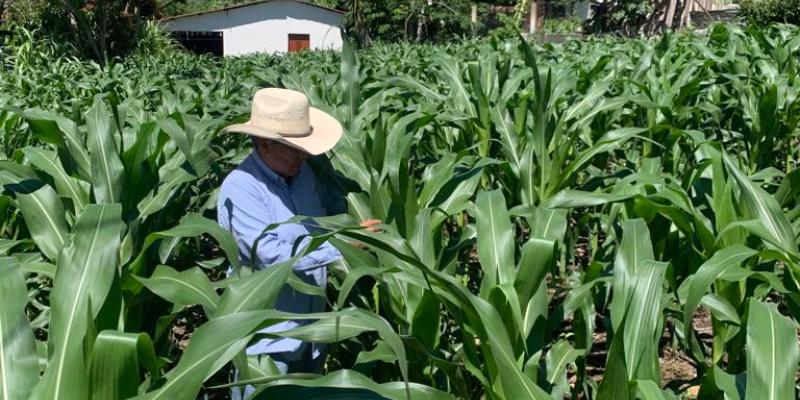 En Jutiapa ya utilizan plaguicidas orgánicos