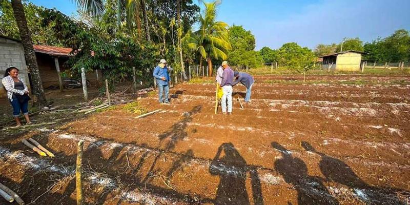 Fortalecen Huertos Familiares en Poptún