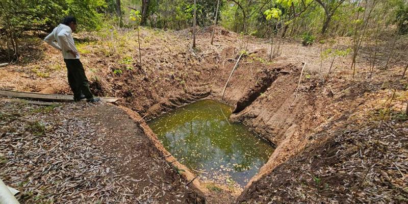 Cultivo de caracol de agua dulce una oportunidad de desarrollo económico para las comunidades
