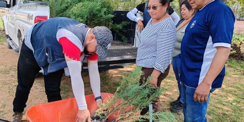 En Huehuetenango entregan árboles para conservación de suelos