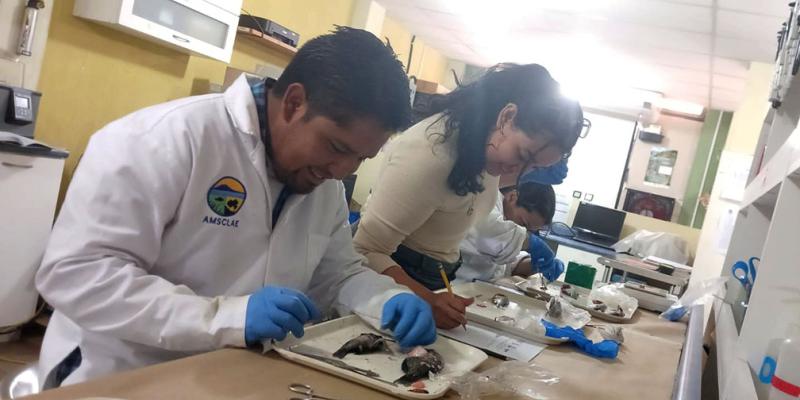 Estudios y uso de tecnología benefician a pescadores y ecosistema del lago de Atitlán