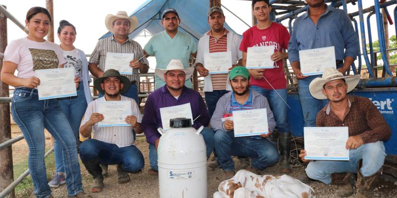 Formación sobre reproducción bovina optimiza capacidades de producción en Petén